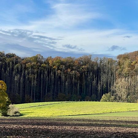 Ferienhaus Kleine Auszeit In Der Natur Mit Kamin, Yogamatten, Schoene Kueche エクスタータール エクステリア 写真